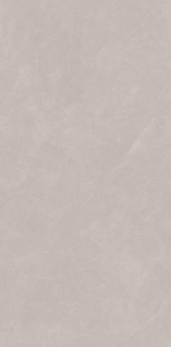 XYJ157309A