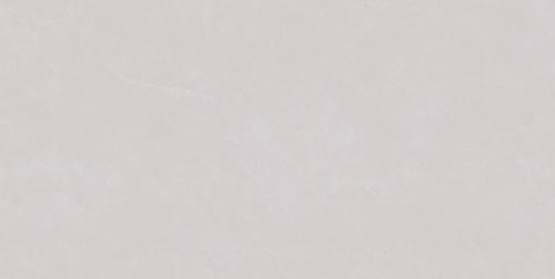 XYS487907A